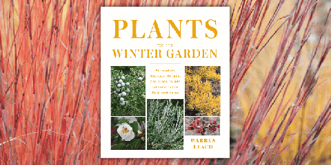 Animated book cover of Plants for the Winter Garden by Warren Leach